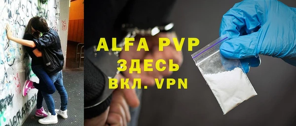 дживик Богородск