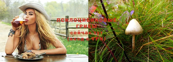 ECSTASY Беломорск