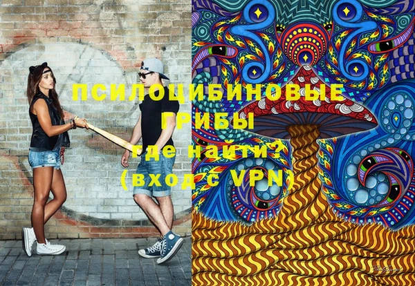 ГАЛЛЮЦИНОГЕННЫЕ ГРИБЫ Белоозёрский