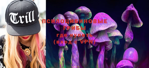 кокаин Белокуриха